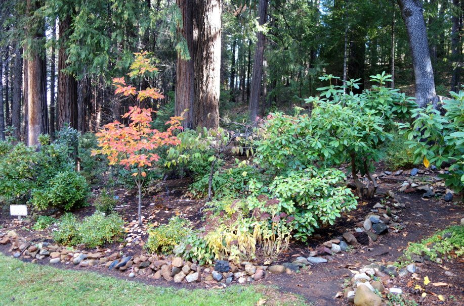 Dunsmuir Botanical Gardens, United States